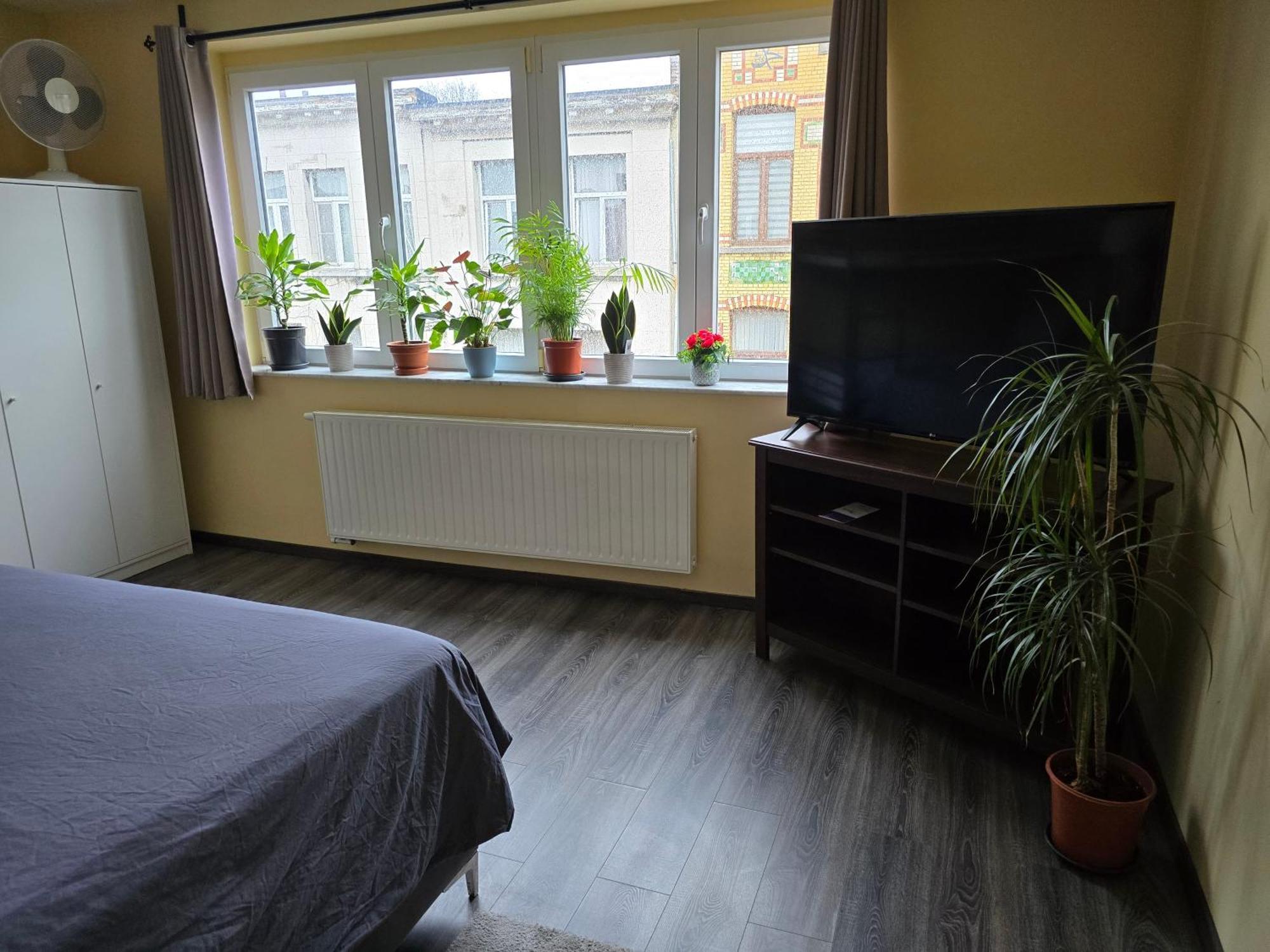 Apartamento Right Choice Amberes